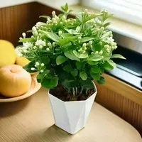 带花苞【整盆精品茉莉】香水茉莉花盆栽四季开花好养送钻石盆庭院