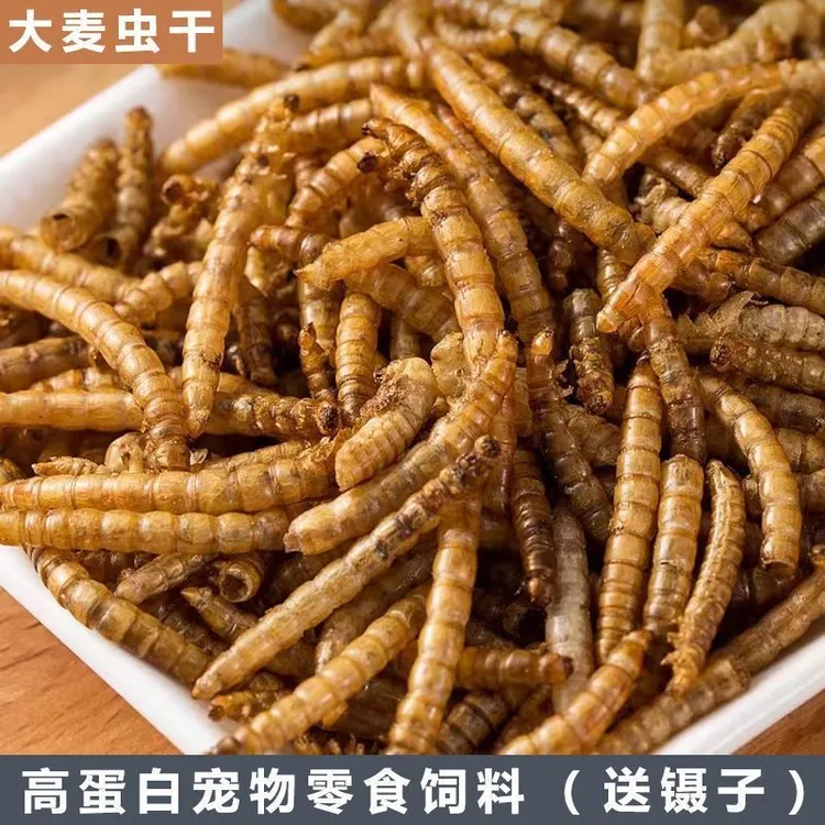 鸟粮鲜活高蛋白大麦虫烘干饲料龙鱼乌龟仓鼠营养必备大麦虫干鸟食