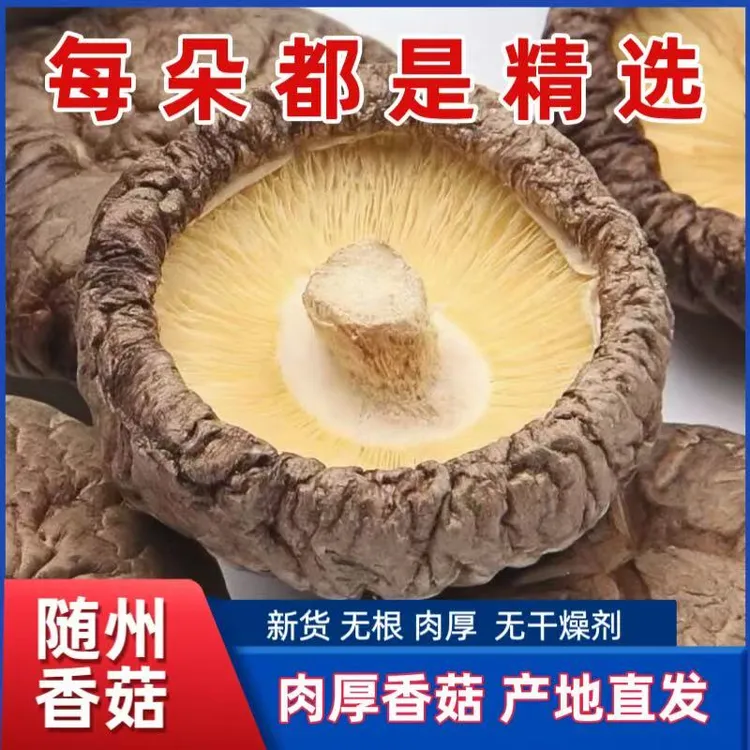 随州香菇小个肉厚当季新鲜菌菇蘑菇金钱菇肉厚无根冬菇香菇干香菇