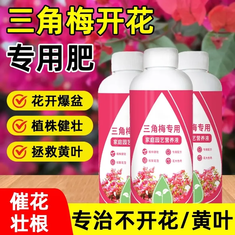 三角梅开花专用营养液肥促花爆花骨粉复合肥料养花枝繁叶茂促开花