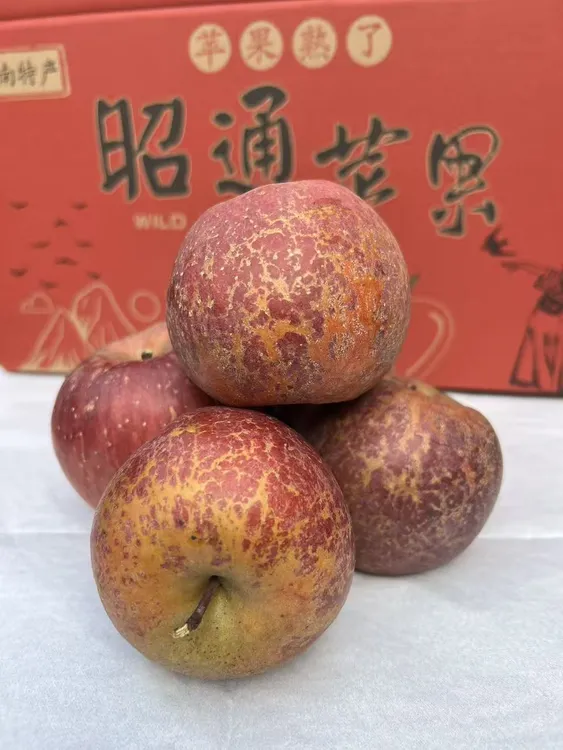 云南昭通冰糖心丑苹果冰糖心苹果新鲜水果正宗脆甜现摘产地直发