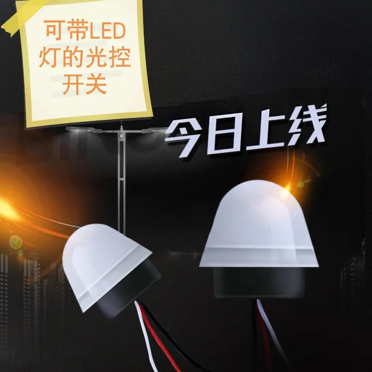 智能路灯光控控制器光控开关220V防雨AS-20自动晚上亮光感应开关