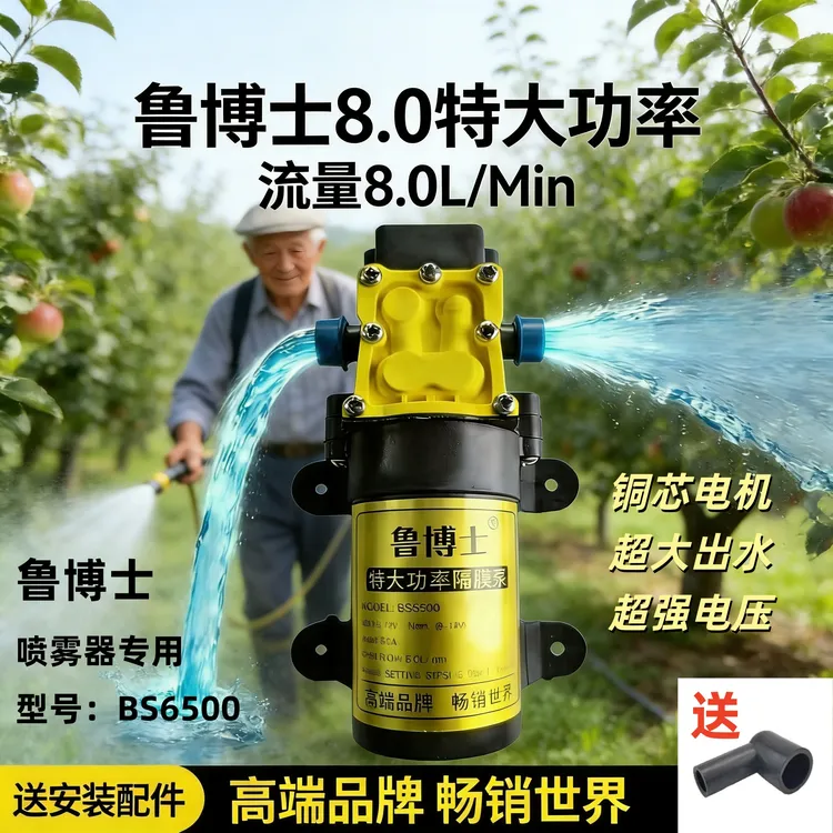 鲁博士8.0超高压电动水泵高压款喷雾器水泵洗车通用款 a商品图