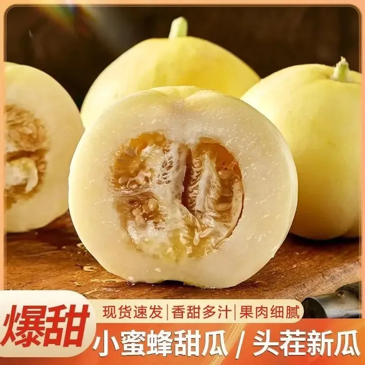 山东头茬应季小蜜蜂甜瓜新鲜甜瓜小蜜罐香瓜脆甜星甜甜瓜小蜜瓜
