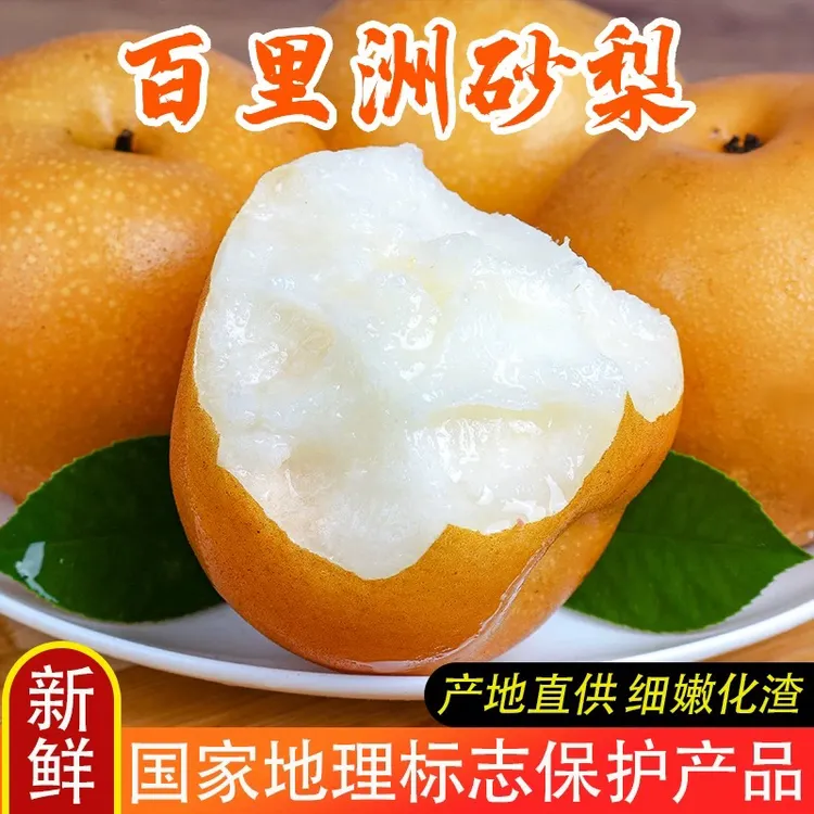 【百里洲黄皮翠冠梨】现摘翠冠梨砂梨脆梨脆嫩无渣多汁鲜甜爽口