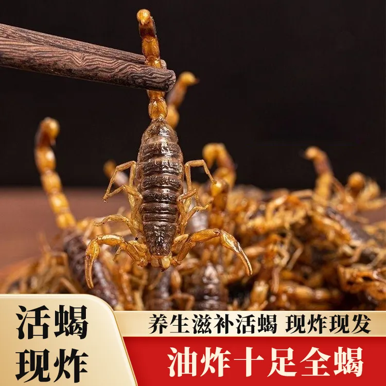 正宗油炸蝎子食用洛阳十足养生滋补全蝎现炸现发特产即食昆虫美食