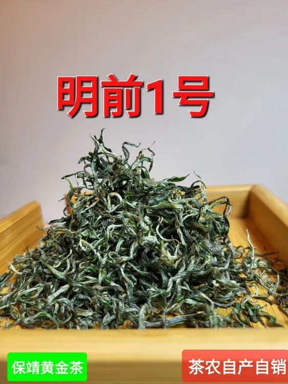 保靖黄金茶明前1号绿茶