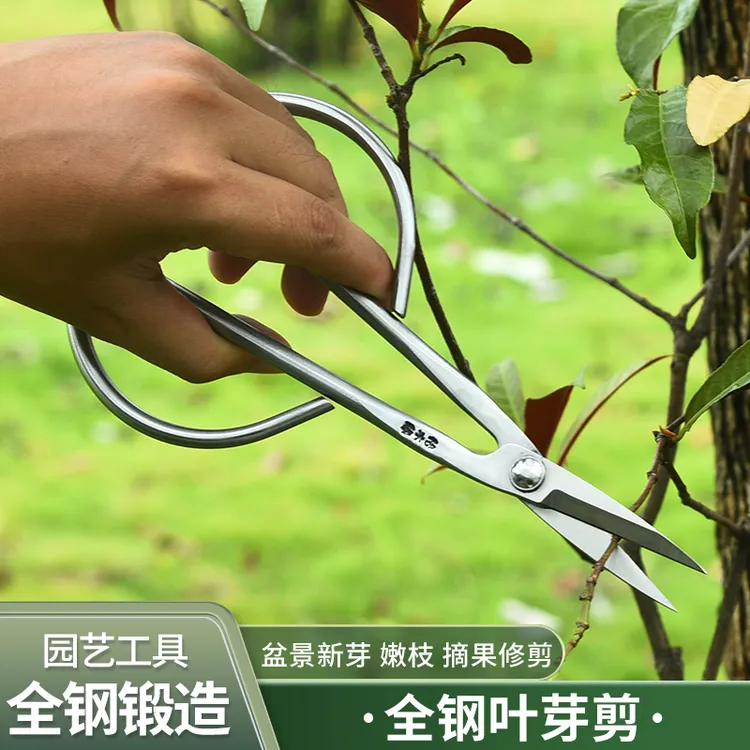 格木缘不锈钢园艺剪叶芽剪嫩芽剪刀盆景枝叶剪修枝小枝剪加厚长杆