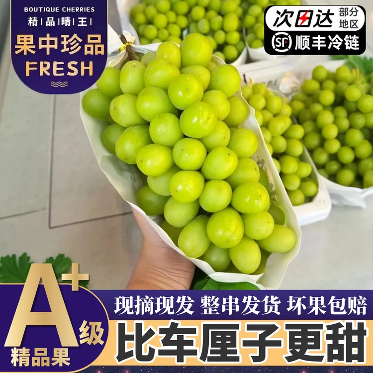 顺丰次日达【5斤大果整箱】精品阳光玫瑰葡萄当季新鲜现摘现发3/5斤