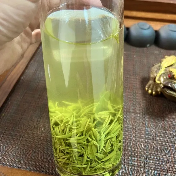 信阳毛尖【雨前茶】2025新年栗香型高山口粮茶茶礼原产地直发