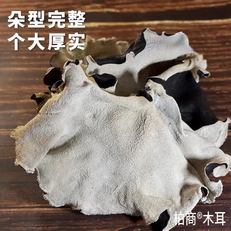 精选头茬无根木耳 毛木耳 大木耳无根