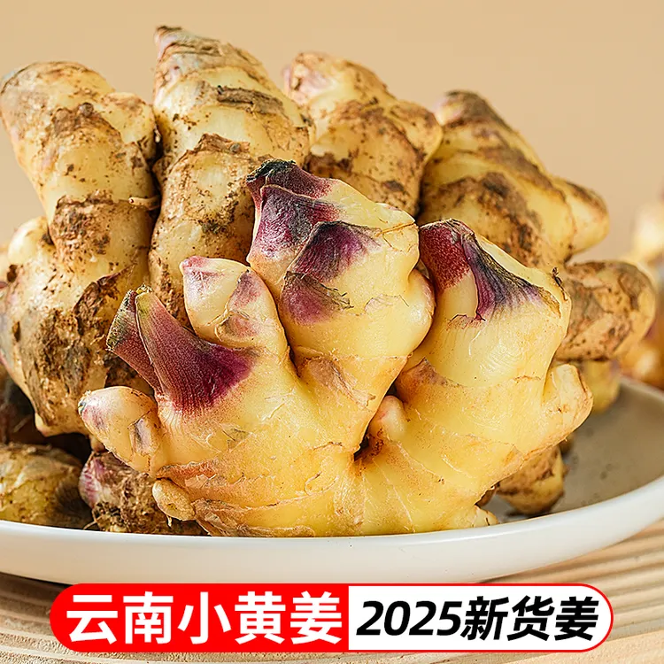 2025年云南小黄姜新鲜姜嫩姜仔姜3斤5斤当季蔬菜TY
