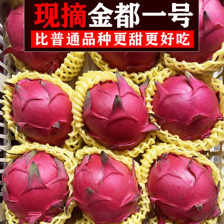 正宗火龙果广西红心火龙果金都一号新鲜水果当季热带5斤整箱