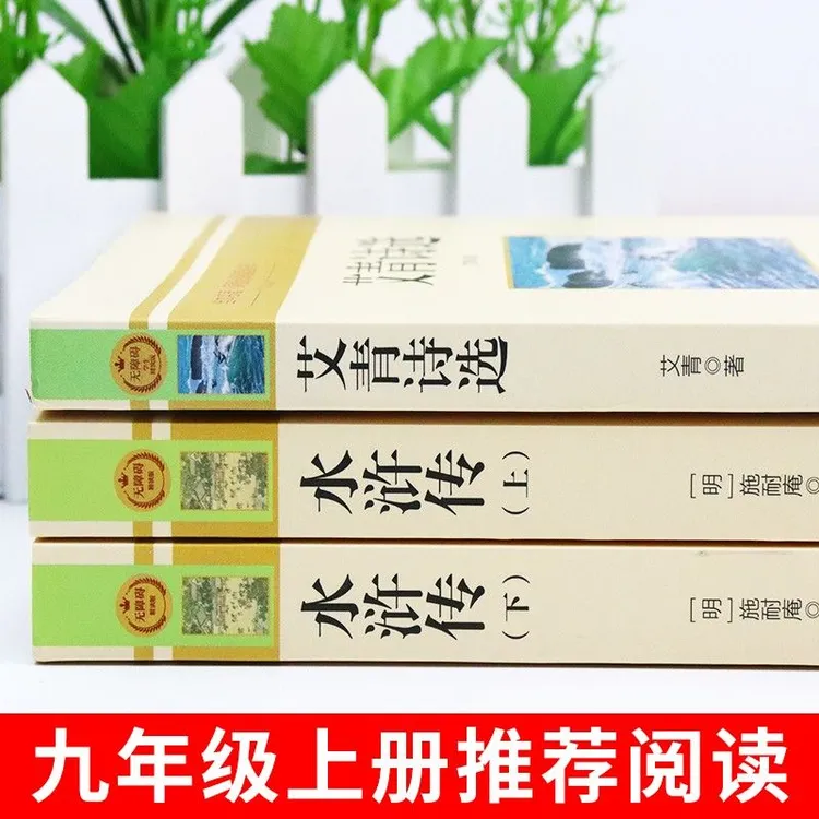 【九年级 配套人教】艾青诗选水浒传必读正版原著初三学生必看课外