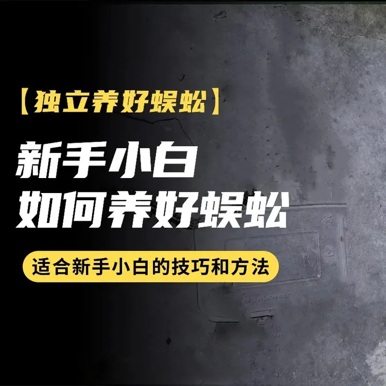 新手如何养殖蜈蚣