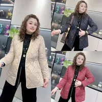 890（丹姐家）秋季高级感洋气收腰薄棉气质二棉服压格外套棉衣
