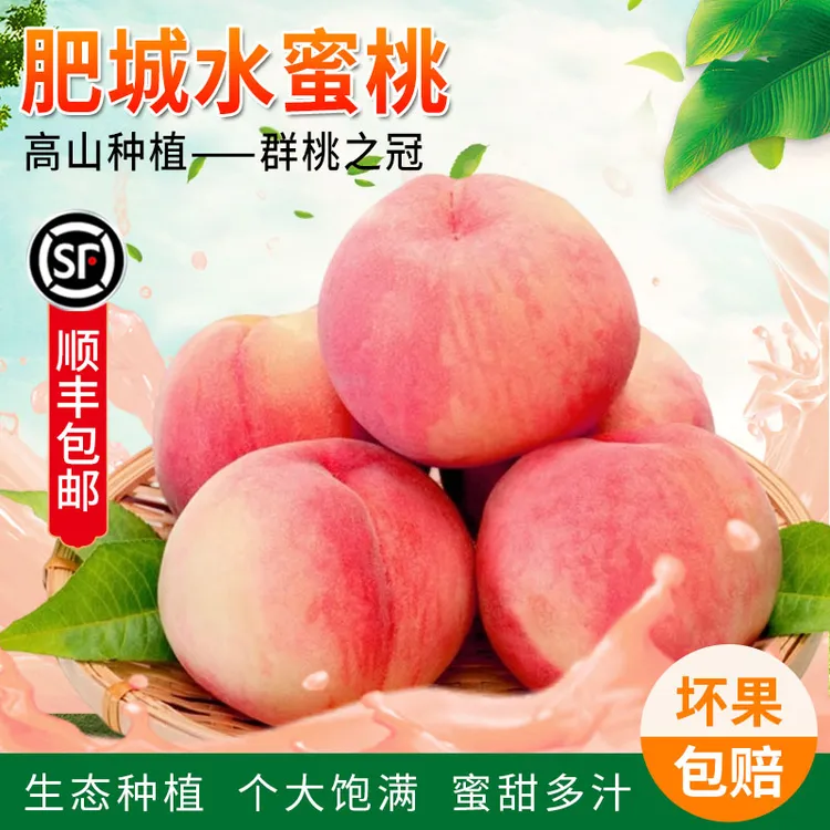 【肥城贡桃】新鲜脆甜桃子肥城桃水蜜桃佛桃寿桃毛桃礼盒装水蜜桃