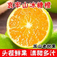 L2【现摘】云南哀牢山冰糖橙甜脐青皮橙子彩箱褚甜橙批发包邮