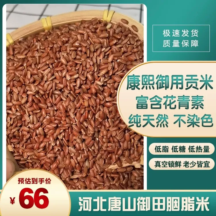 孕妇低脂糙米杂粮粗粮五谷河北唐山正宗御田胭脂米老玄米农场直销