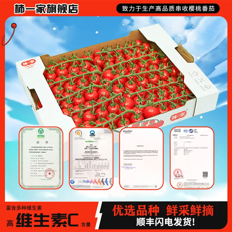 【柿一家】新鲜现摘串收樱桃番茄爆汁水果自然成熟1.5kg小番茄
