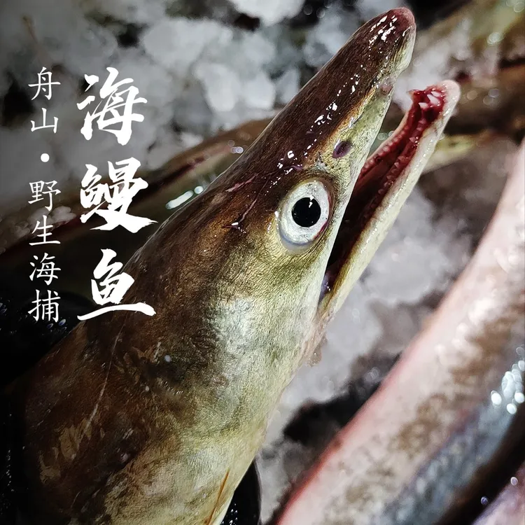 舟山海鲜直播间现称