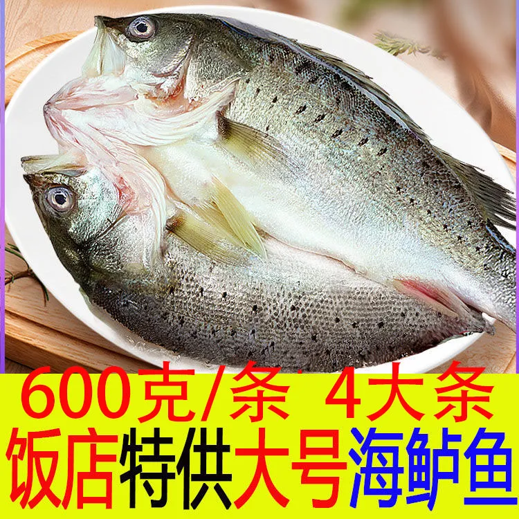 开背海鲈鱼 4条 （600g/条）七星鲈鱼新鲜冷冻鲜嫩美味生鲜鱼海鲜商品图