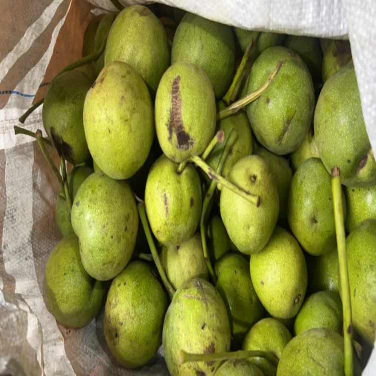 麻核桃青皮四座楼随机