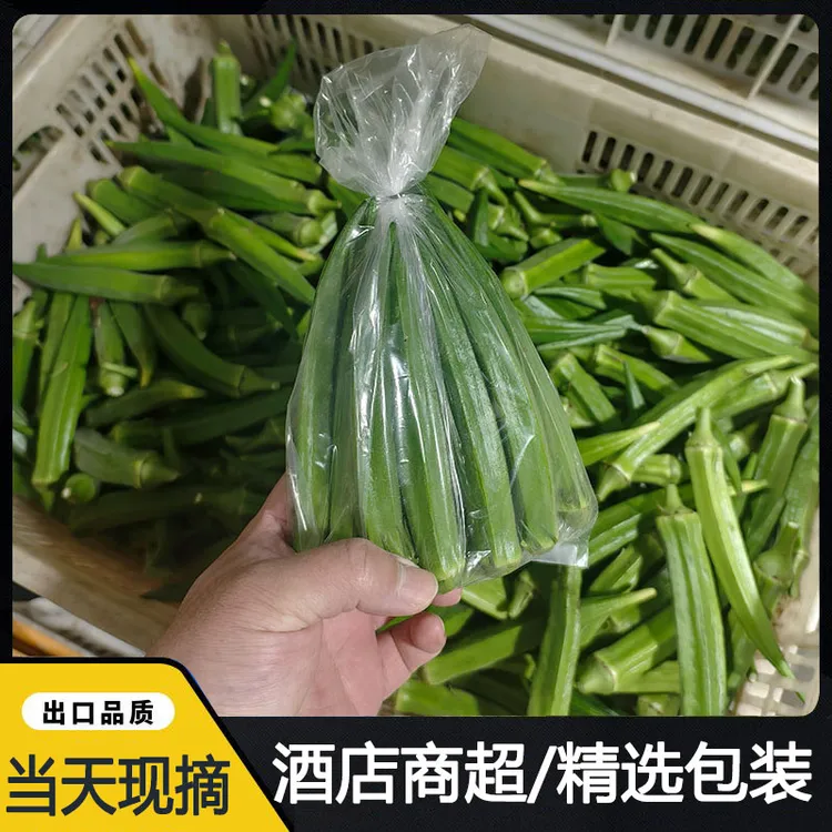 福建新鲜黄秋葵现摘当季时令蔬菜水果秋葵产地直发羊角豆精品袋装