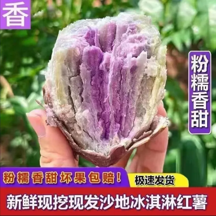 新鲜现挖沙地冰淇淋番薯一点红紫心地瓜粉糯香甜粗粮