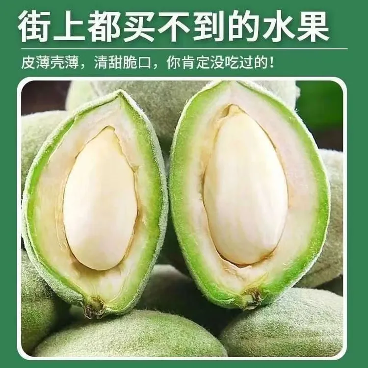 25年当季新鲜青皮巴旦木现摘现发原味生扁桃仁每日坚果