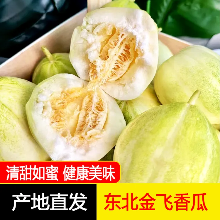 东北甜香瓜头茬金飞瓜新鲜应季孕妇水果浓郁香甜脆嫩3/5斤包邮