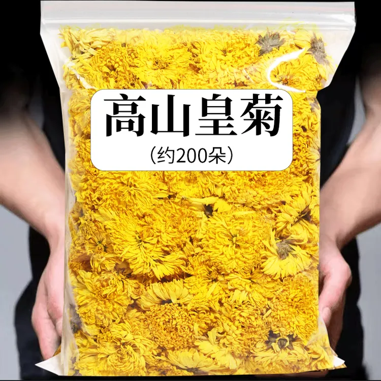 【小皇菊】高山皇菊菊花茶皇菊菊花茶新花花草茶