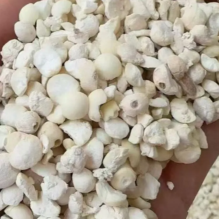 新苏南中小苏芡片包邮销售，数量不多，要的速度