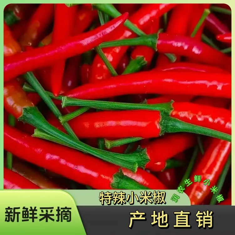 云南新鲜现摘特辣小米辣椒小米辣农家自种可用于餐饮调味的红辣椒