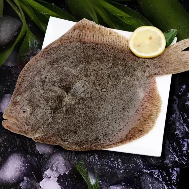 【爆款推荐】多宝鱼 肉质鲜嫩10条