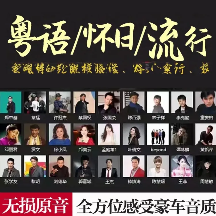 车载音乐U盘无损音质珍藏版老歌708090怀旧成名曲