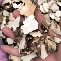 正宗野生土茯苓中药材生新鲜土伏苓粉片干煲汤泡酒湿气材料精选货
