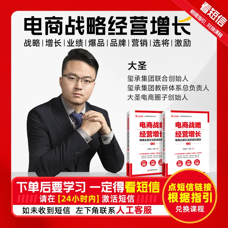 【下单看短信】玺承电商战略经营增长商品图
