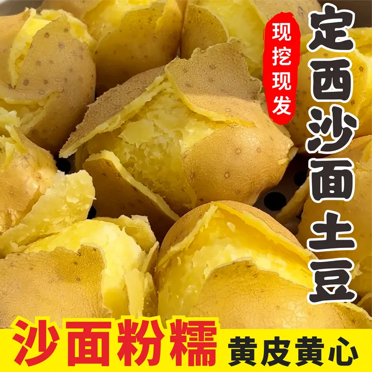 定西土豆 现挖现发 粉糯面沙 黄心土豆粉面洋芋马铃薯 高原洋芋.