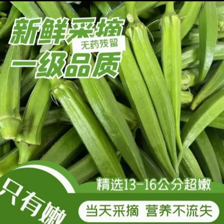 产地直发新鲜秋葵当季蔬菜羊角豆水果秋葵农家种植包邮