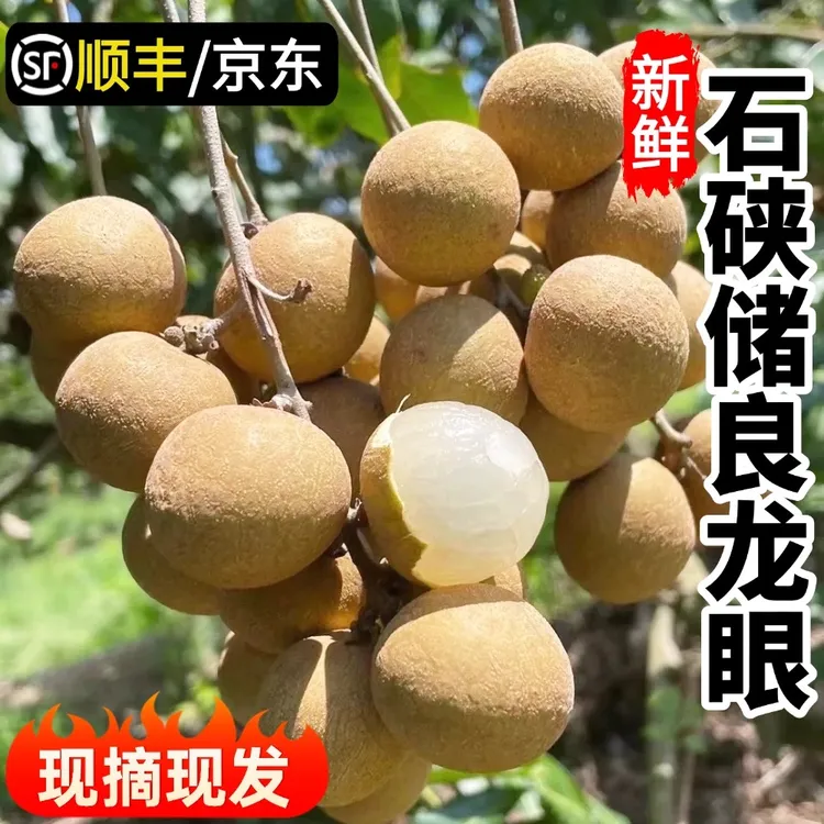 【顺丰包邮】茂名正宗石硖龙眼新鲜现摘现发当季新鲜水果