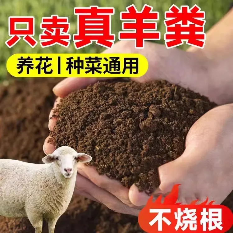 【发酵有机纯羊粪】蔬菜花卉专用花土内蒙古发酵腐熟羊粪绿植盆栽商品图