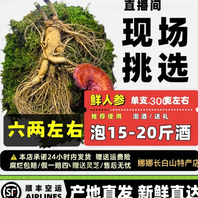 长白山新鲜带土人参6两左右现挖可泡酒煲汤营养特产