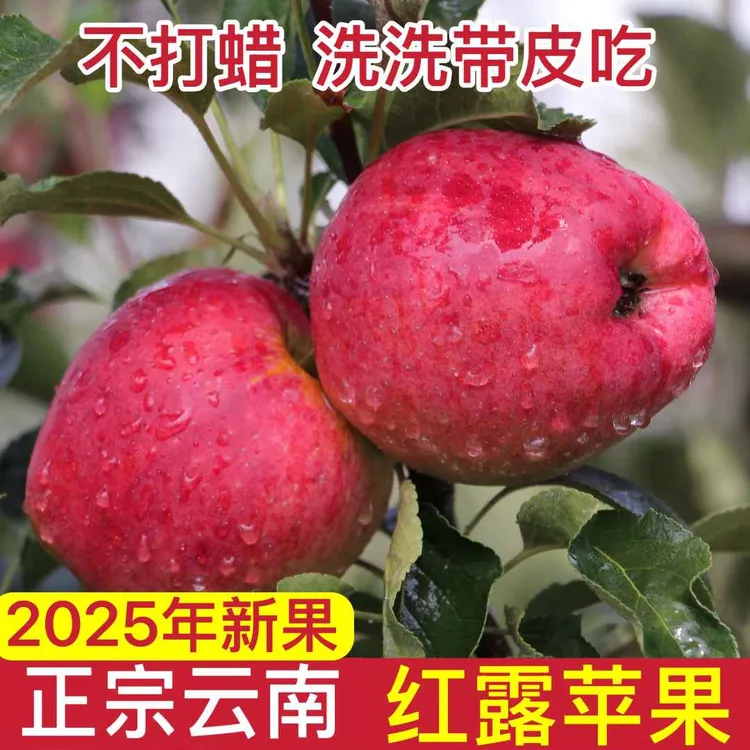 正宗云南昭通冰糖心红露丑苹果高山农家种植新鲜脆甜多汁整箱包邮