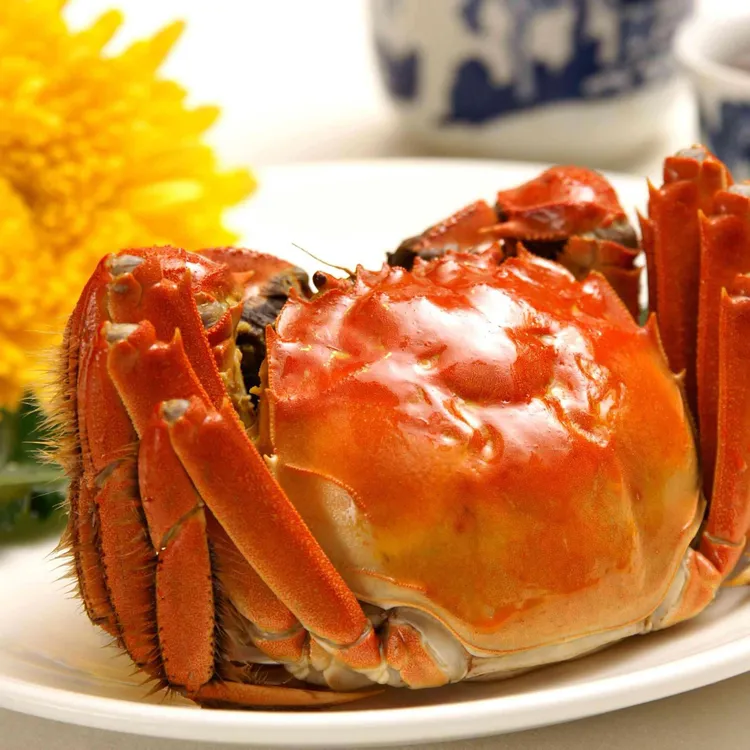 【双十一】洪泽湖2两全母蟹十只装顺丰冷链发货