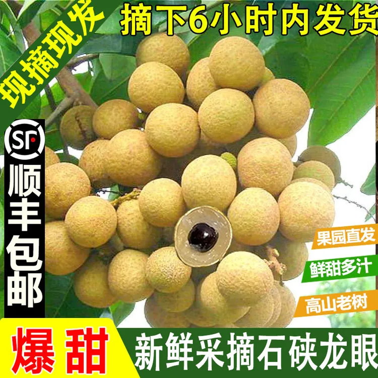 【顺丰包邮】广东高州石峡龙眼新鲜现摘清甜多汁肉厚饱满当季水果