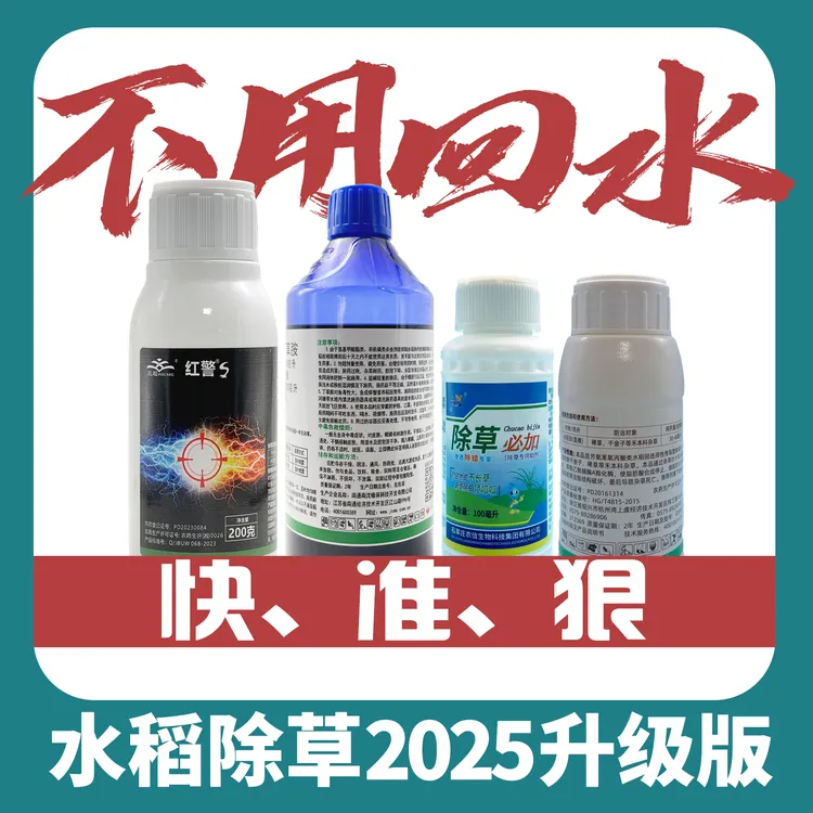 不用回水的除草剂水稻直播苗后除草高温干田专治抗性稗子千金马唐