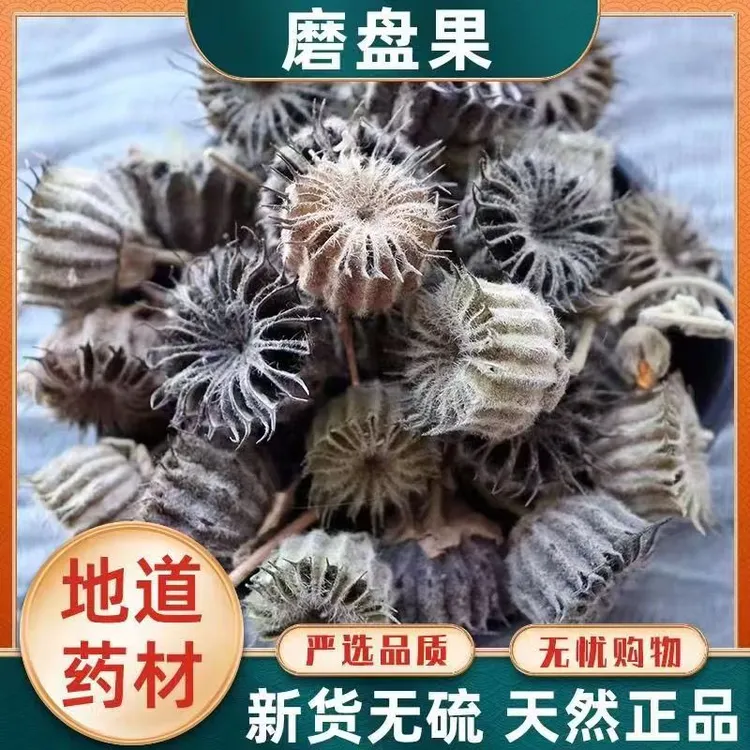 纯野生磨盘草果子磨盘籽磨盘果响耳草果苘麻子干品中药材正品包邮