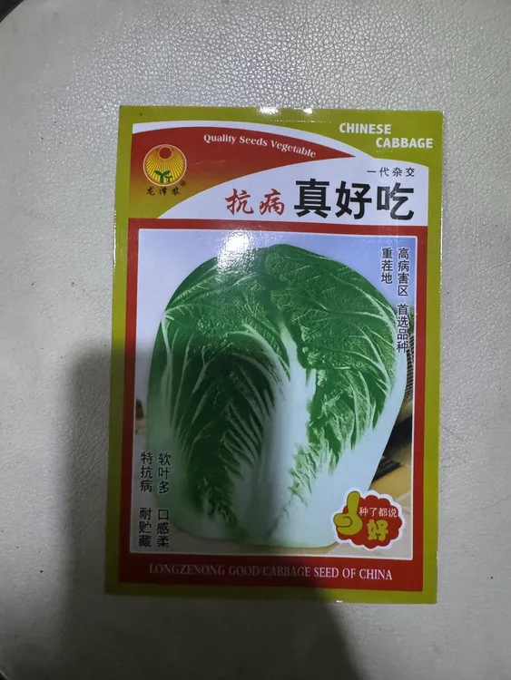 抗病高产耐寒大白菜种子适合南北方秋季播种蔬菜籽
