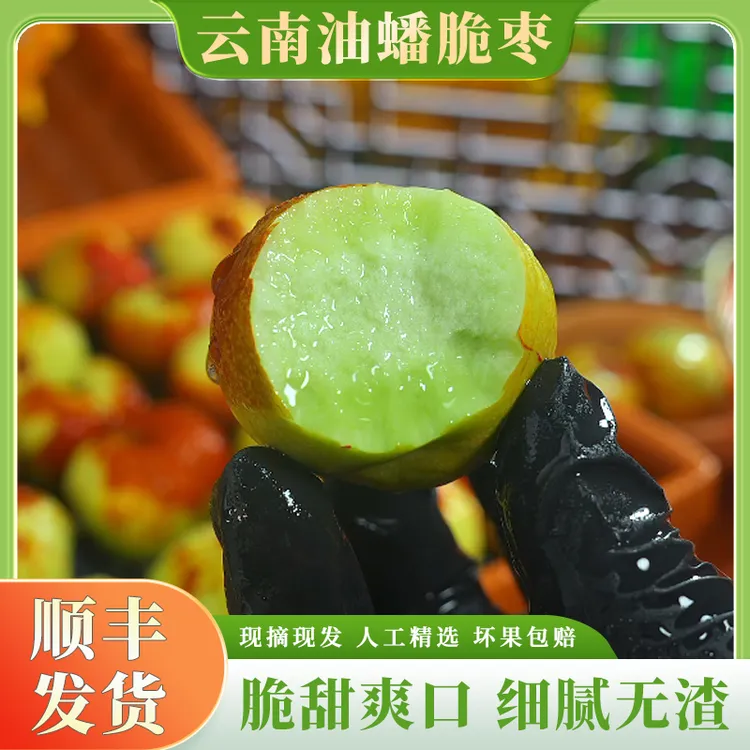 【顺丰】云南油蟠脆枣新鲜水果脆甜枣子自然成熟皮薄肉脆精选2斤起